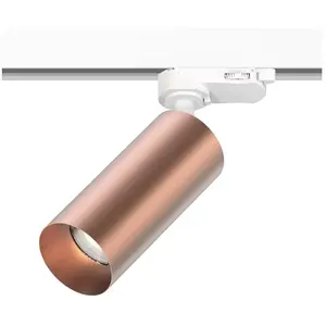 Bianemo Elys Altera TR 3-ph Straight Projecteur LED, EL603808923636, pas cher