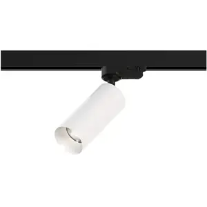 Bianemo Elys Altera TR 3-ph Straight Projecteur LED, EL603808933623, pas cher