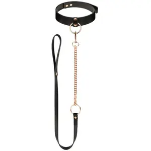 Comparateur de prix : Rosy Gold - Collier avec laisse détachable - Noir