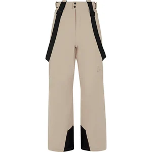 Comparateur de prix : Protest Prtrowens Snowpants - Pantalon ski homme BambooBeige L