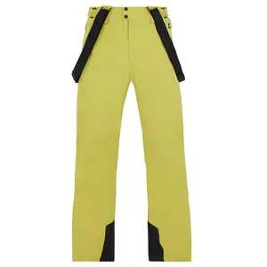 Protest Owens - Pantalon ski homme Splitpea Green XS pas cher