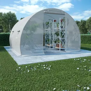 vidaXL Serre 9 m² 300x300x200 cm