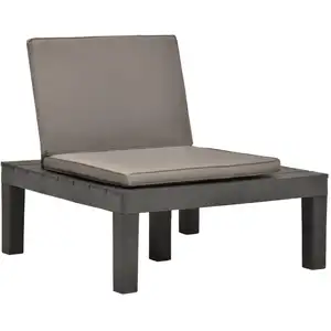 vidaXL Chaise de salon de jardin avec coussin Plastique Anthracite