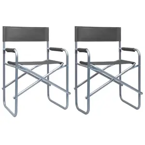 vidaXL Chaises de metteur en scène 2 pcs Acier Gris pas cher