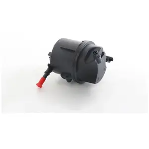 Filtre à carburant BSG30130022 pas cher