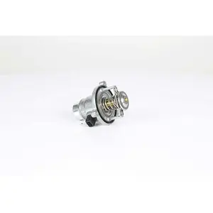 BSG BSG 15-125-005 Thermostat d'eau sans joint d'étanchéite pas cher