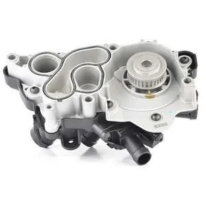 Pompe à eau, refroidissement moteur BSG90500030 pas cher