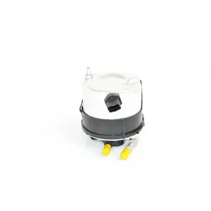 Filtre à carburant BSG30130015 pas cher