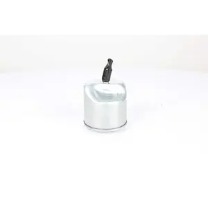 Filtre à carburant BSG70130009 pas cher