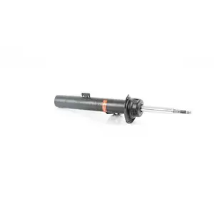 Amortisseur Bsg 15-300-043 Bmw Bsg Bsg15300043 pas cher