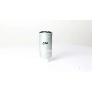 Filtre à carburant BSG40130016 pas cher