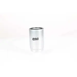 Filtre À Carburant Hyundai; Kia Bsg Bsg40130011 pas cher