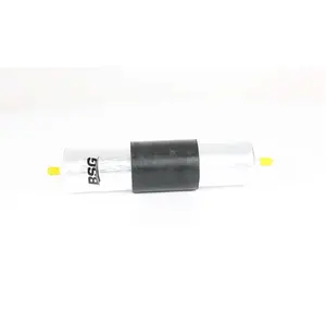 Filtre à carburant BSG15130006 pas cher