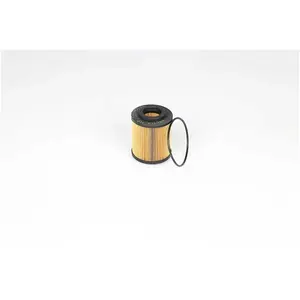 filtre à l'huile BSG65140011 pas cher