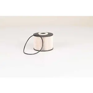 Filtre à carburant BSG30130016 pas cher