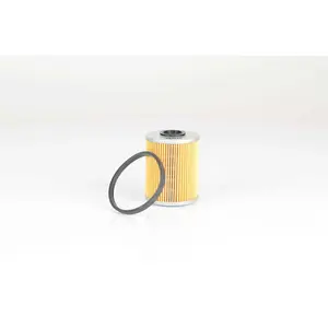 Filtre à carburant BSG65130010 pas cher