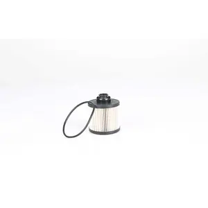 Filtre à carburant BSG70130008 pas cher