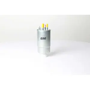 Filtre à carburant BSG25130001 pas cher