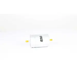 Filtre à carburant BSG60130008 pas cher
