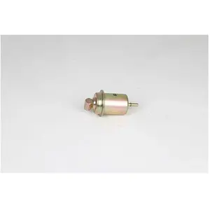 filtre à carburant BSG40130017 pas cher
