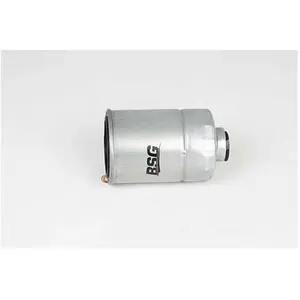 Filtre À Carburant Kia Bsg Bsg40130020 pas cher