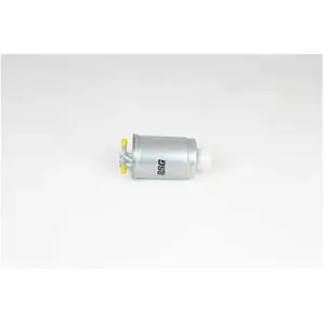 Filtre à carburant BSG90130039 pas cher