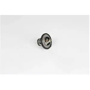 Thermostat, Liquide De Refroidissement Hyundai; Kia Bsg Bsg40126006 pas cher