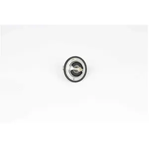 Thermostat, Liquide De Refroidissement Bsg Bsg40126007 pas cher