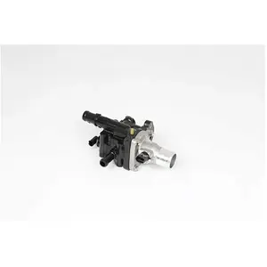 Thermostat, liquide de refroidissement BSG16126004 pas cher