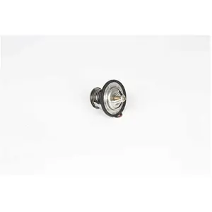 Thermostat, Liquide De Refroidissement Bsg Bsg40126002 pas cher