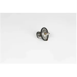 BSG Thermostat, Liquide De Refroidissement Ford; Ford Australia; Ford Usa;... pas cher