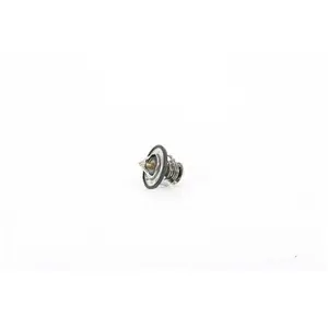 Thermostat, Liquide De Refroidissement Bsg Bsg16125007 pas cher