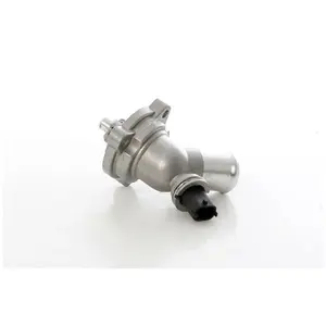Thermostat, Liquide De Refroidissement Chevrolet Bsg Bsg16125009 pas cher