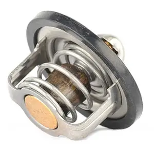 Thermostat, Liquide De Refroidissement Bsg Bsg65125019 pas cher