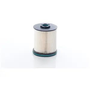 Filtre à carburant BSG65130013 pas cher