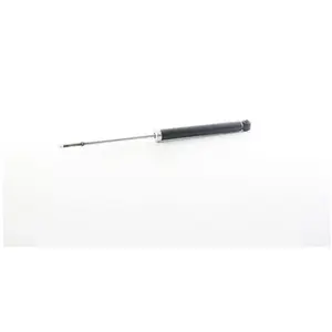 Amortisseur BSG70300029 pas cher
