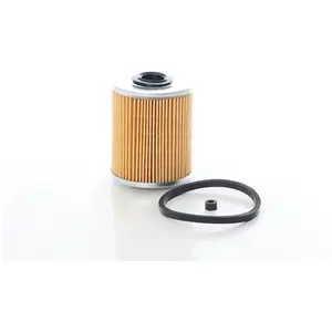 Filtre à carburant BSG62130001 pas cher