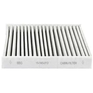 Filtre d'habitacle BSG15145013 pas cher