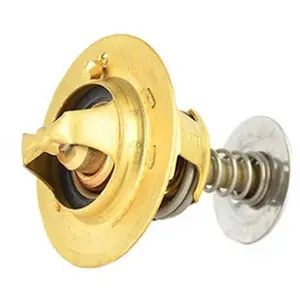 Thermostat, liquide de refroidissement BSG30125019 pas cher