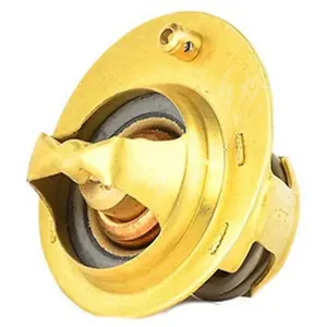 Thermostat, liquide de refroidissement BSG30125020 pas cher