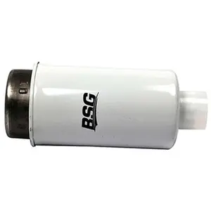 Filtre à carburant BSG30130010 pas cher