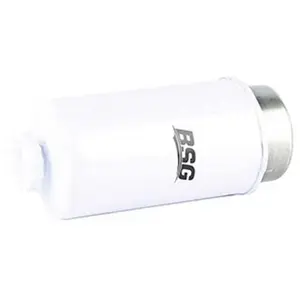 Filtre à carburant BSG30130011 pas cher