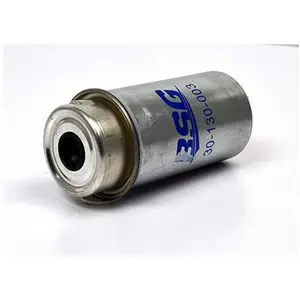 Filtre À Carburant Ford; Lti Bsg Bsg30130003 pas cher
