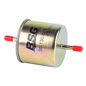 Filtre à carburant BSG30130008 pas cher