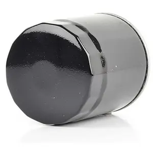 Filtre à carburant BSG60130004 pas cher