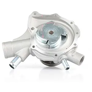 Pompe à eau, refroidissement moteur BSG60500016 pas cher