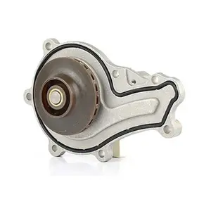 Pompe À Eau, Refroidissement Moteur Bsg Bsg70500003 pas cher