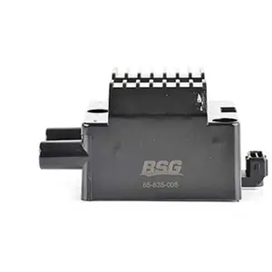 BSG Bobine pas cher