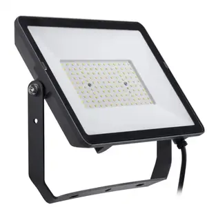 Philips ProjectLine Projecteur d'extérieur LED 3.000K 100WVendu parluminaire