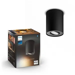 Comparateur de prix : Philips Hue White Ambiance PILLAR Spot 1x5.5W extension - Noir (télécommande non incluse)